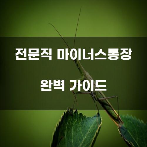 전문직 마이너스통장 완벽 가이드