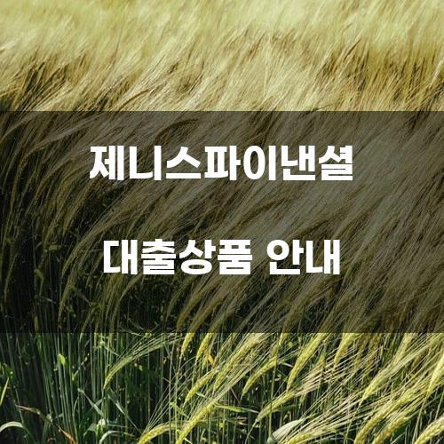 제니스파이낸셜 대출상품 안내