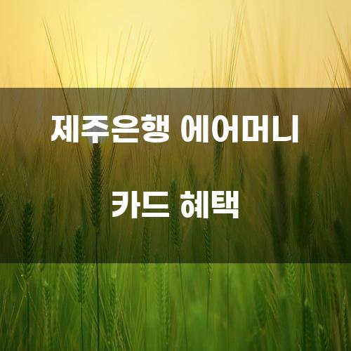 제주은행 에어머니 카드 혜택