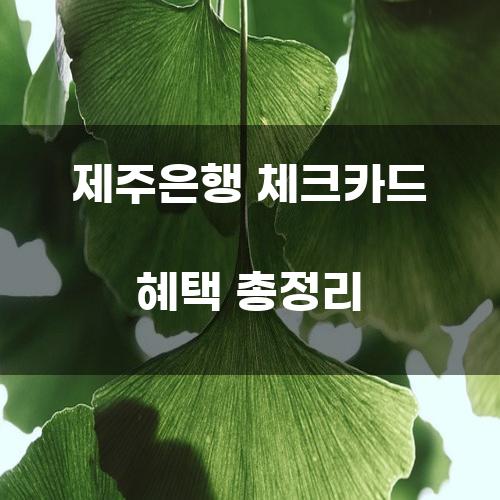 제주은행 체크카드 혜택 총정리