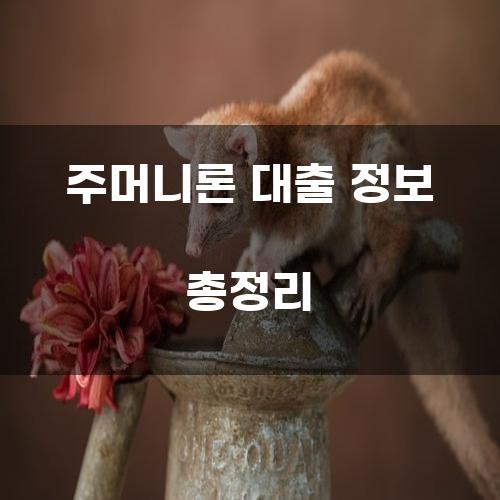 주머니론 대출 정보 총정리