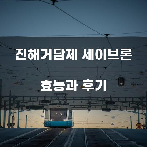 진해거담제 세이브론 효능과 후기