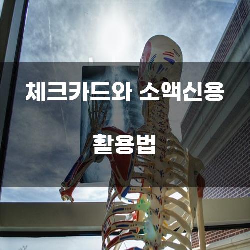 체크카드와 소액신용 활용법