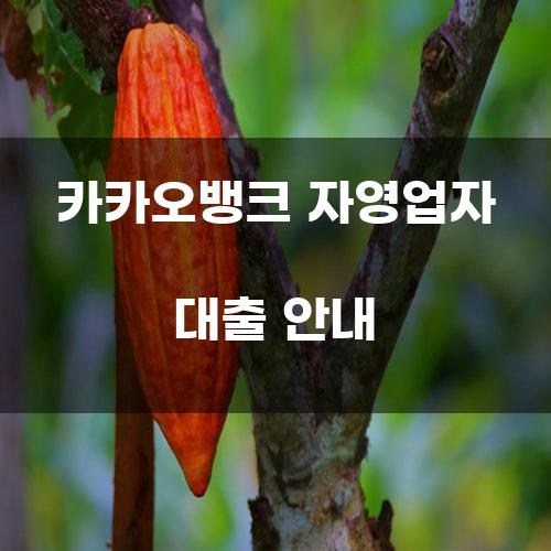 카카오뱅크 자영업자 대출 안내