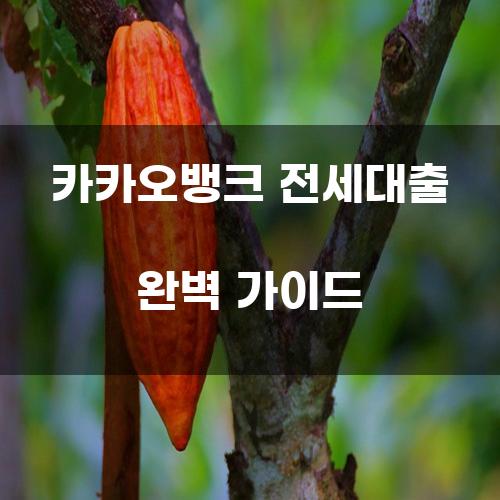 카카오뱅크 전세대출 완벽 가이드