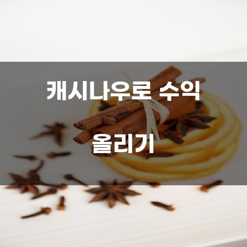 캐시나우로 수익 올리기