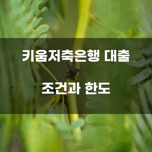 키움저축은행 대출 조건과 한도