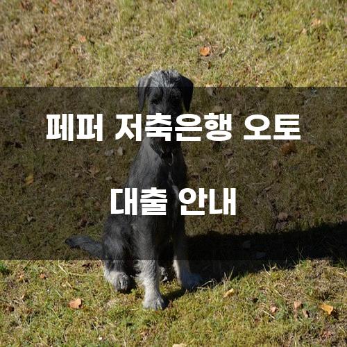 페퍼 저축은행 오토 대출 안내