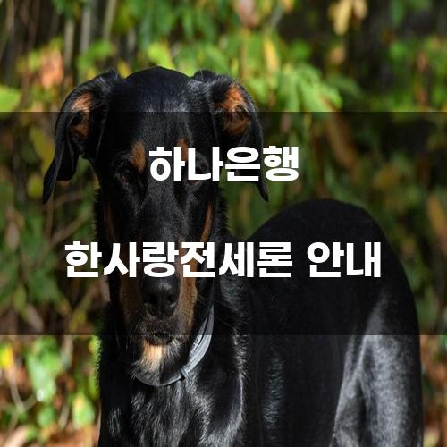 하나은행 한사랑전세론 안내