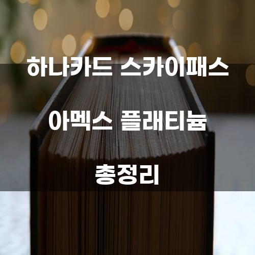 하나카드 스카이패스 아멕스 플래티늄 총정리