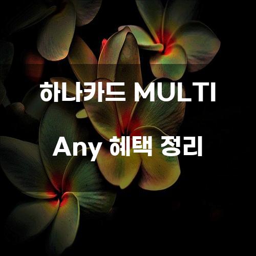 하나카드 MULTI Any 혜택 정리