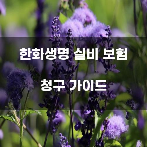 한화생명 실비 보험 청구 가이드