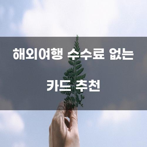 해외여행 수수료 없는 카드 추천