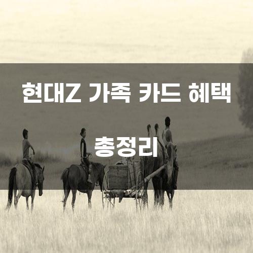 현대Z 가족 카드 혜택 총정리