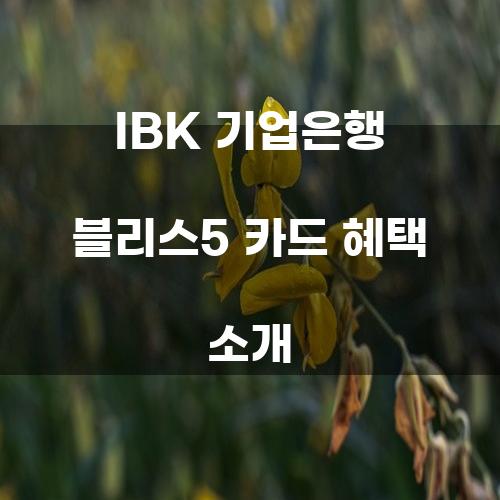 IBK 기업은행 블리스5 카드 혜택 소개