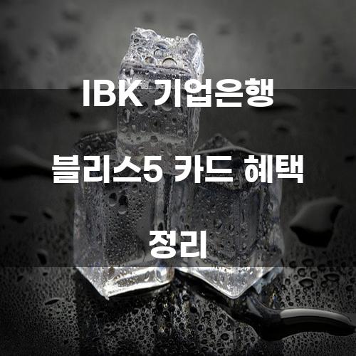 IBK 기업은행 블리스5 카드 혜택 정리