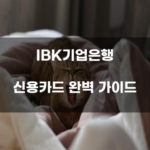 IBK기업은행 신용카드 완벽 가이드