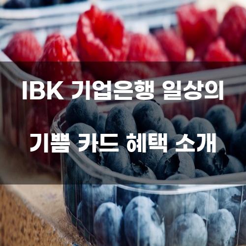 IBK 기업은행 일상의 기쁨 카드 혜택 소개