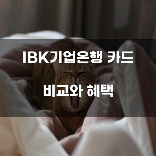 IBK기업은행 카드 비교와 혜택