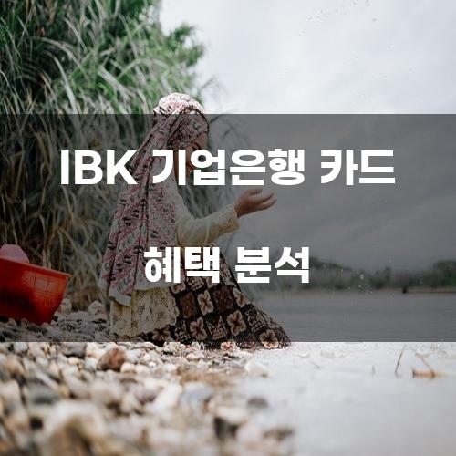 IBK 기업은행 카드 혜택 분석