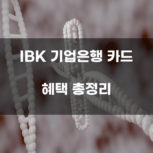 IBK 기업은행 카드 혜택 총정리