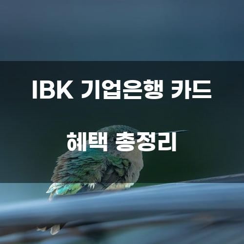 IBK 기업은행 카드 혜택 총정리