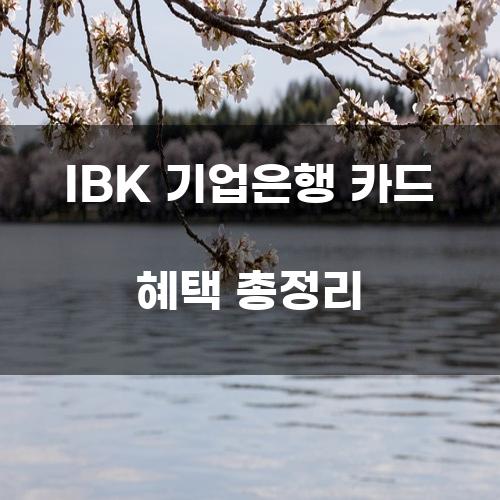 IBK 기업은행 카드 혜택 총정리