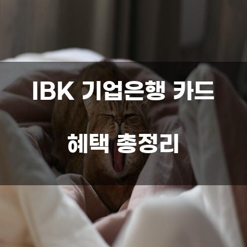 IBK 기업은행 카드 혜택 총정리