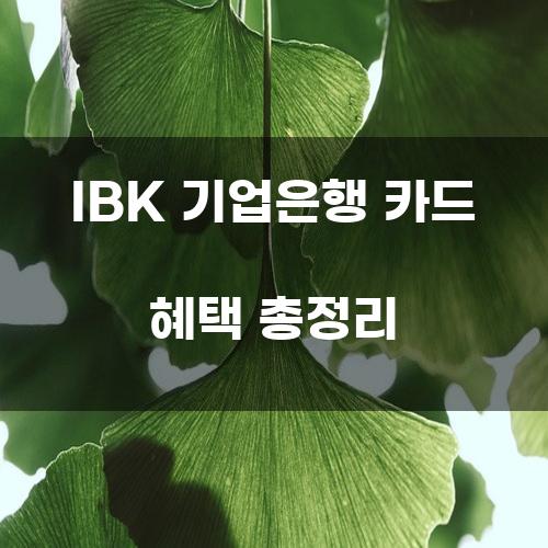 IBK 기업은행 카드 혜택 총정리