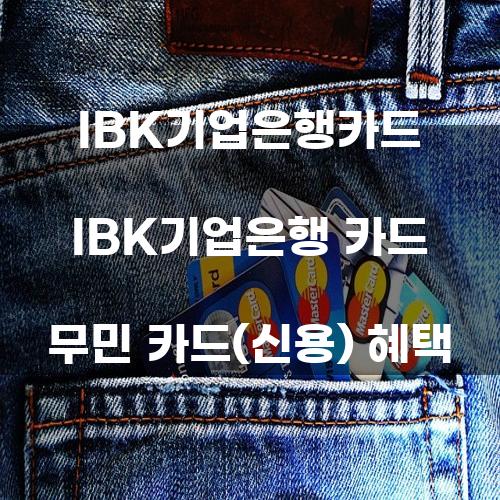 IBK기업은행 카드 무민 카드(신용) 혜택에 대한 심층 분석