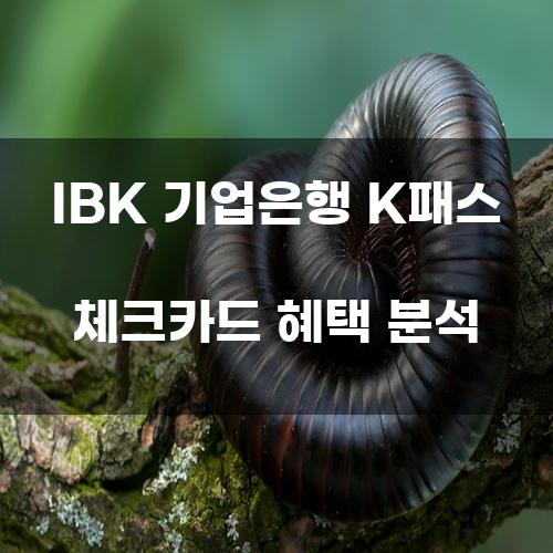 IBK 기업은행 K패스 체크카드 혜택 분석