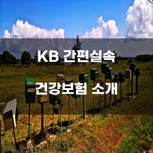 KB 간편실속 건강보험 소개