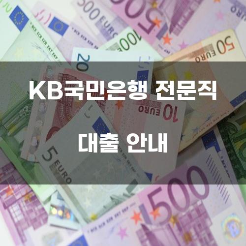 KB국민은행 전문직 대출 안내