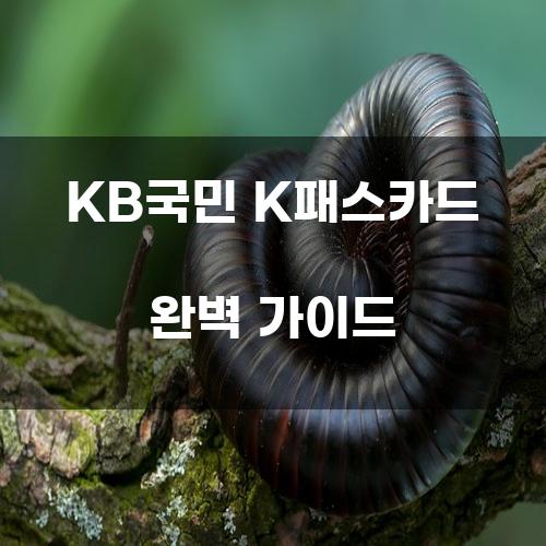 KB국민 K패스카드 완벽 가이드