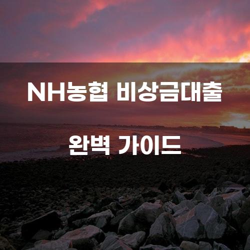 NH농협 비상금대출 완벽 가이드