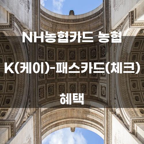 NH농협카드 농협 K(케이)-패스카드(체크) 혜택