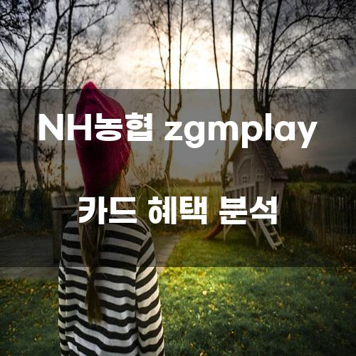 NH농협 zgmplay 카드 혜택 분석