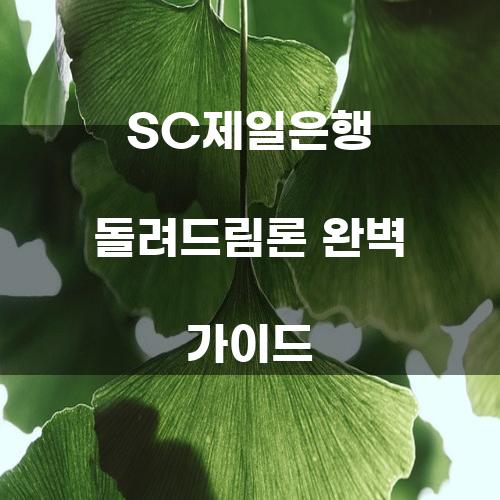 SC제일은행 돌려드림론 완벽 가이드