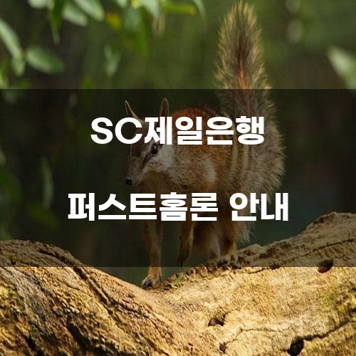 SC제일은행 퍼스트홈론 안내